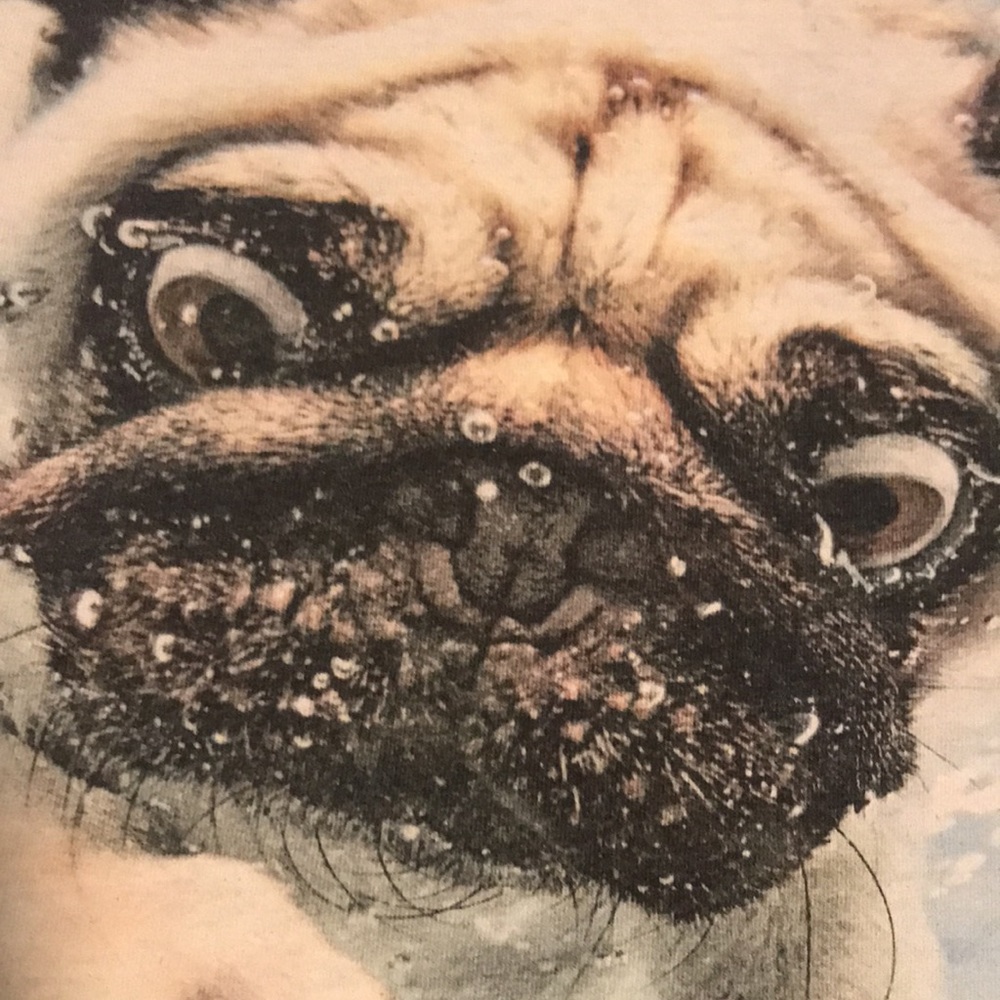 The Mountain Pug Dog Tee View 4